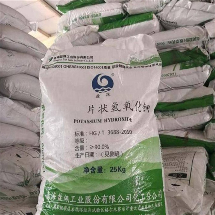 免费操屄网站